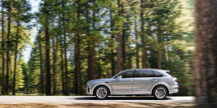 Bentley Hong Kong - Kam Lung Bentley Bentayga Extended Wheelbase SUV in Moonbeam paint driving dynamically on a forest road